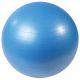 GymBall 300kg (Sports Physio)